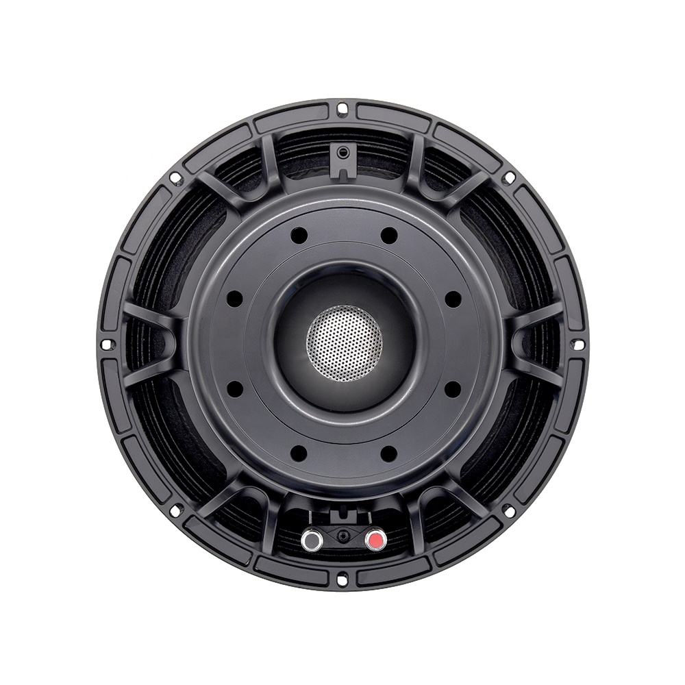 12DS Pro Audio Equipment 12''  - đánh giá và giá Speakers