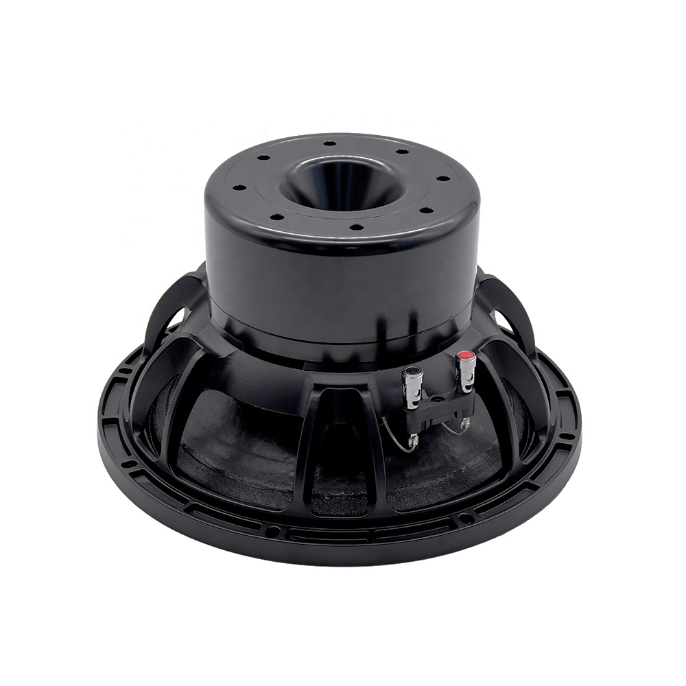 12DS Pro Audio Equipment 12''  - đánh giá và giá Speakers