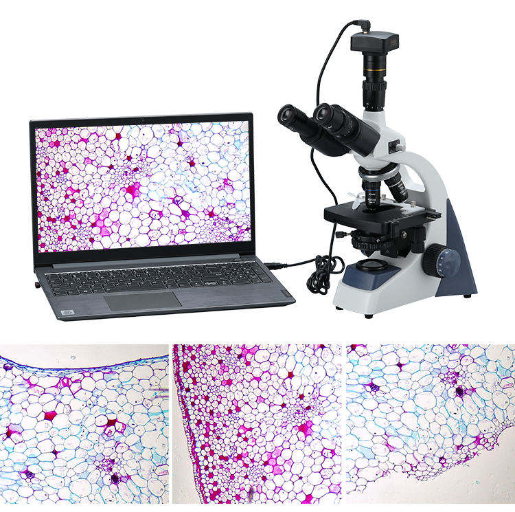 Binocular Biological Digital V - đánh giá và giá Cameras