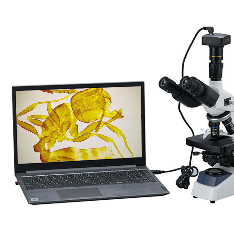 Binocular Biological Digital V - đánh giá và giá Cameras